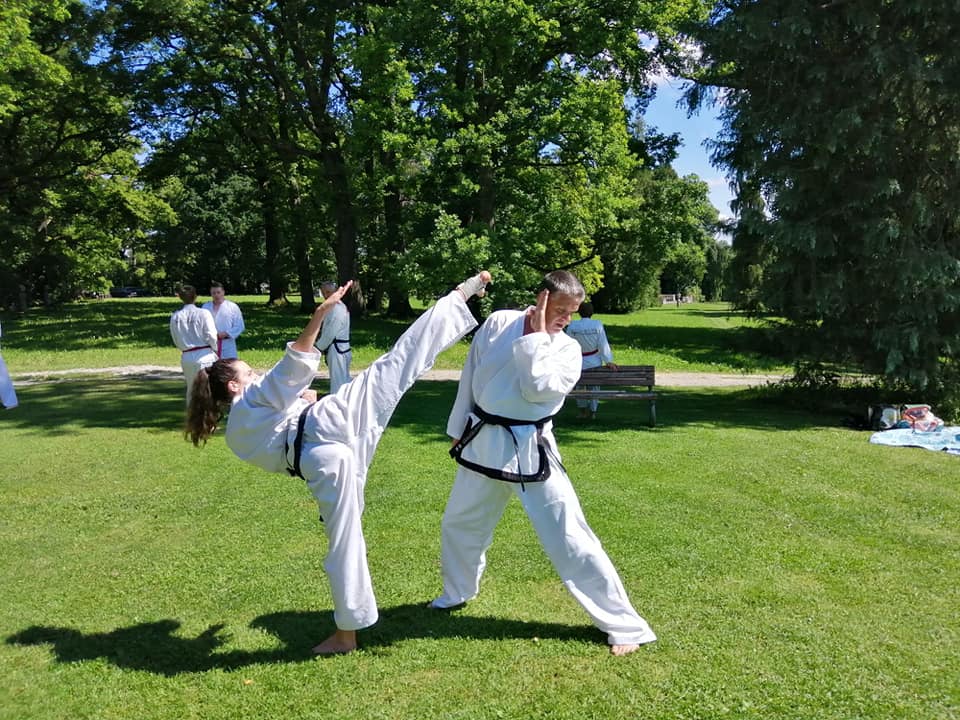 Die Schwerpunkte im Taekwon-Do Training: Ilbo Taeryon