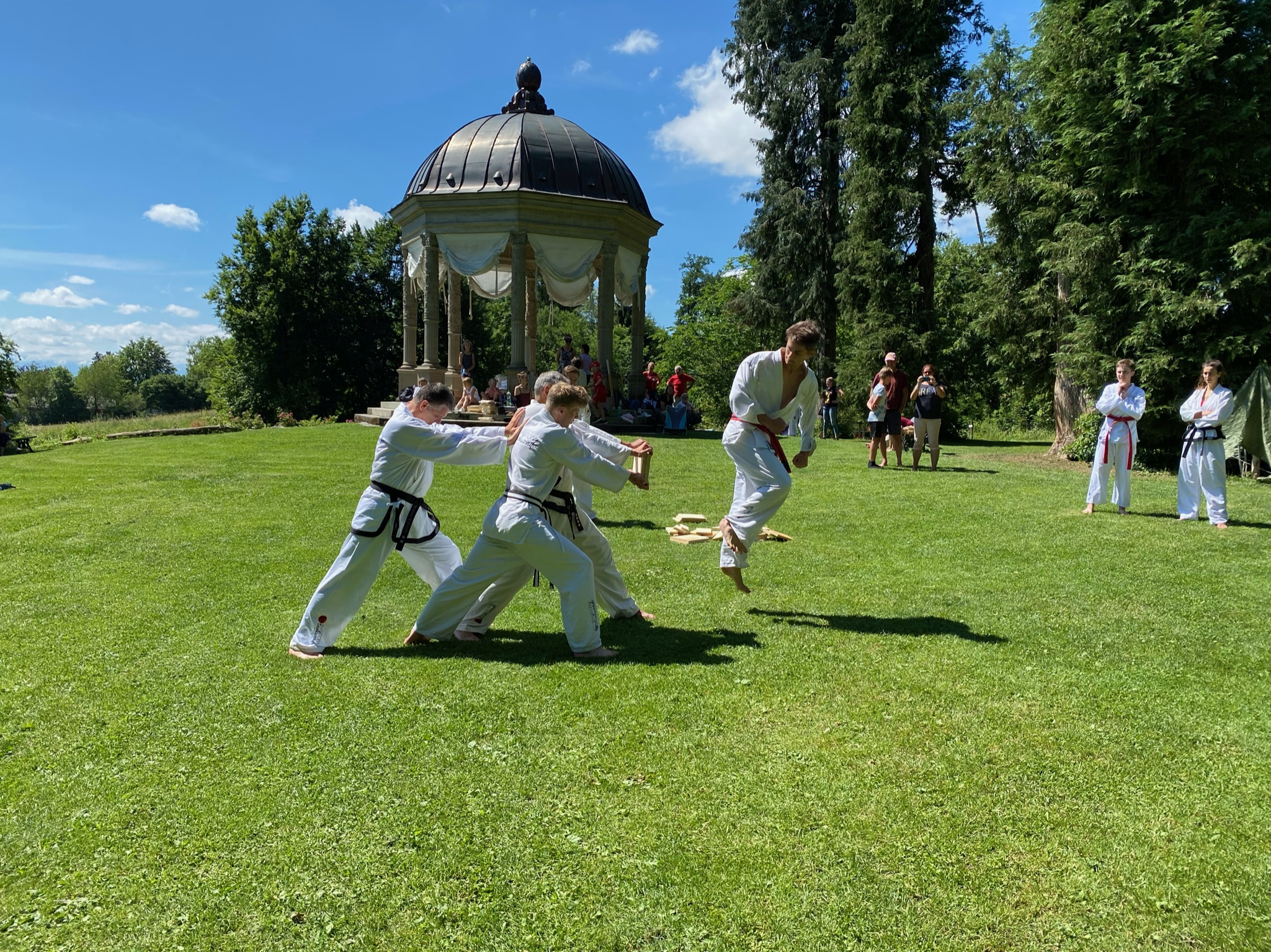 Die Schwerpunkte im Taekwon-Do Training: Kyok Pa
